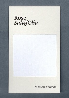 Werbekarte - Rose SaltifOlia von Maison Crivelli beidseitig