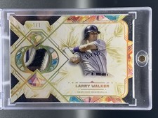 Larry Walker 2025 Topps Diamond Icons 1/1 Single Player Relic Gold #SPR-LW