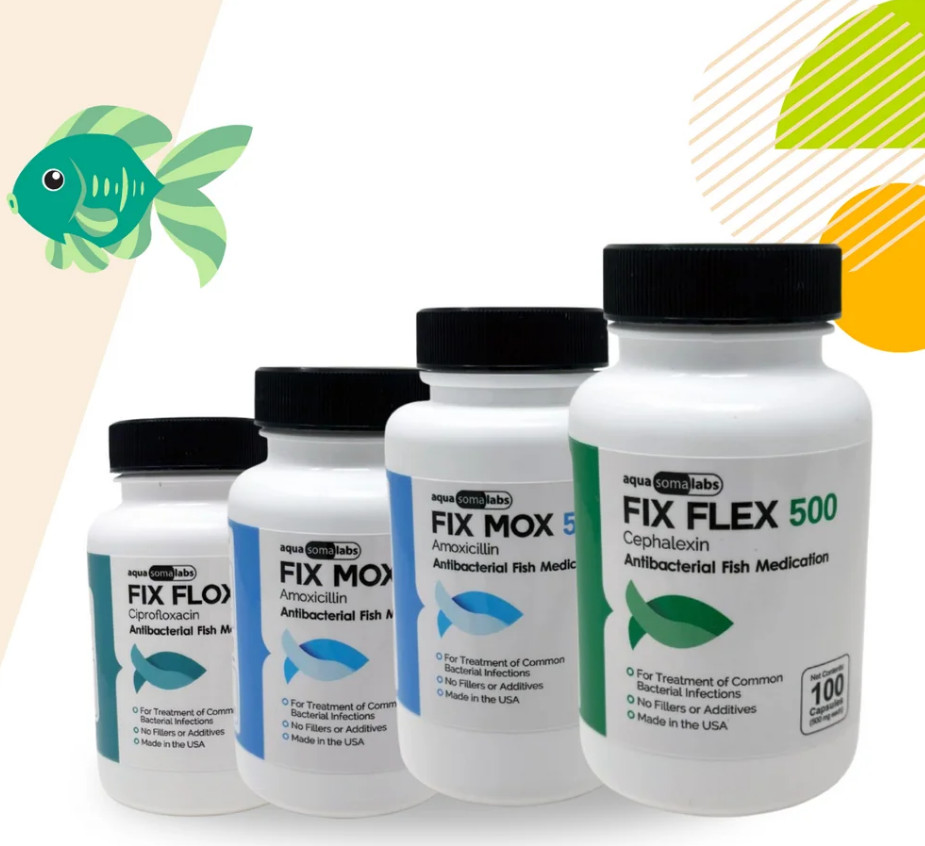 For Aquarium use Certified fish AQUA Amoxicillin 500 100 ships Today US Labs
