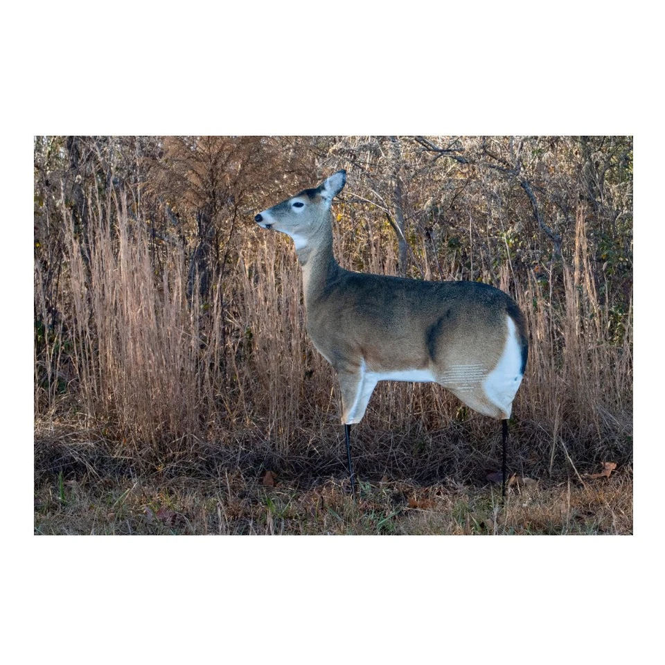 Montana Decoy Dreamy Doe Whitetail Deer Decoy - Image 2 of 4