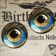 Glass Eyes Steampunk Taxidermy Small Craft Eyeball 12mm Set