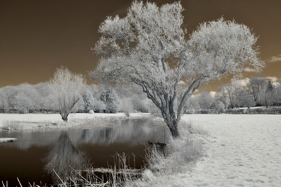 Nikon D90 Infrared converted 720nm Digital IR infrared Camera.Standard infrared - Image 4 of 4