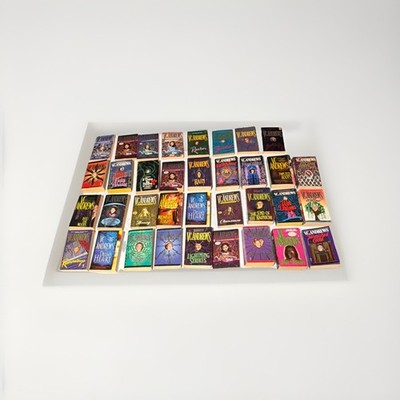 Lot 35 V.C. Andrews Mass Market Paperback Gothic Horror Many Key hole covers 