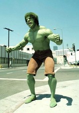 Bill Bixby Incredible Hulk TV Show Studio Photo Poster Framing Print 8 x 10