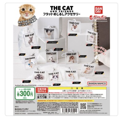 [Gashapon]  THE CAT AND FRIENDS Flat beadwork accessory    -Complete Set-