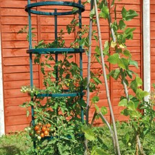 T&M Garden Climbing Tomato Flower Plant Vegetable Grow Support Frame Cage NEW