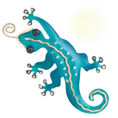 gecko magnet