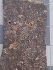 Bild 1 von 10