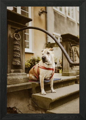 ROYAL DOGS Gerahmtes Wandbild Poster Leinwanddruck Bild