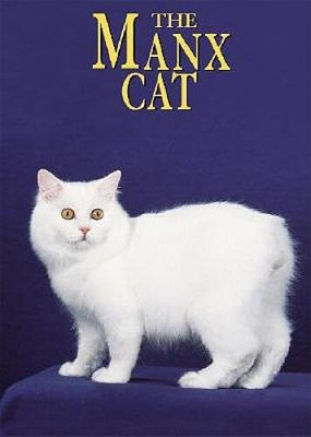 The Manx Cat (Learning about Cats) - Library Binding By Mattern, Joanne - GOOD