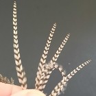 Picture 5 of 7