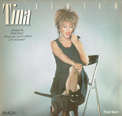 Vinyl, LP - Tina Turner   Private Dancer - AMIGA - What's Love Got To Do With It