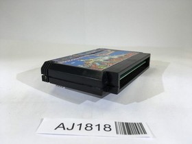 AJ1818 Dragon Slayer IV 4 NES Famicom Japan