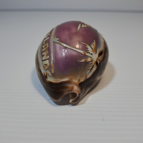 Vintage Souvenir Carved Tiger Cowrie Shells Fiji, Aries, Tathra Warf Home Décor - Picture 12 of 18