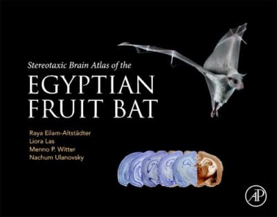 Stereotaxic Brain Atlas of the Egyptian Fruit Bat, Hardcover by Eilam-altstad...