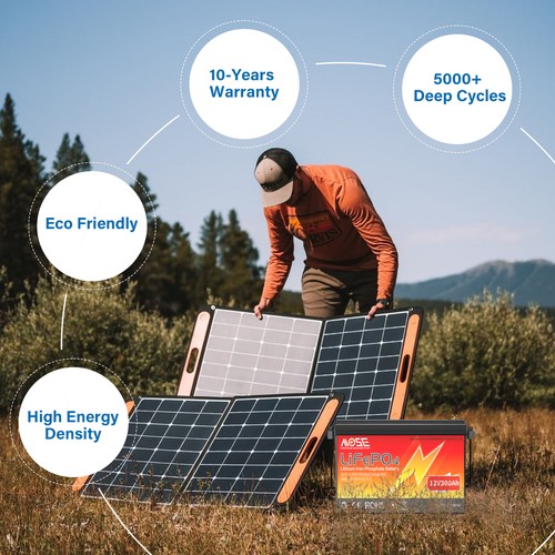 12V 24V 100AH 200AH 300AH LiFePO4 Lithium Battery Deep Cycle for Off-grid RV - Picture 22 of 38