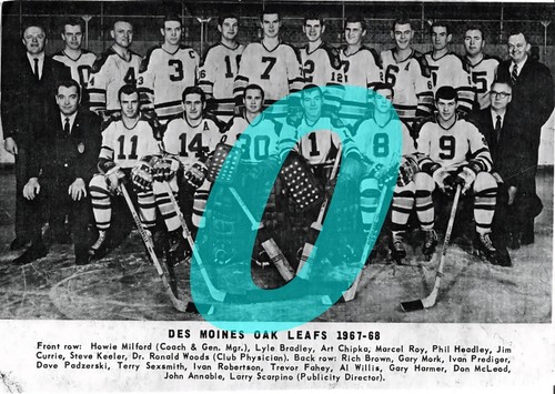 INTERNATIONAL HOCKEY LEAGUE TEAM PHOTOS ( YOU PICK FROM LIST) REPRINT - Picture 47 of 145