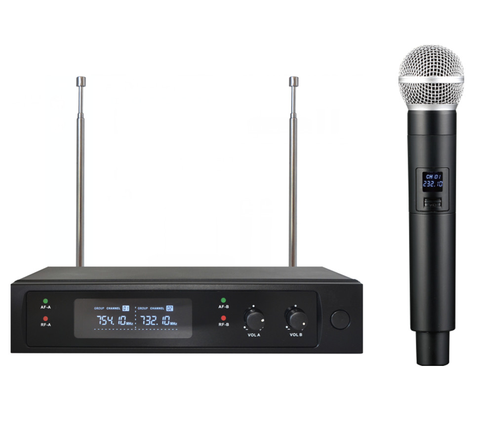 Radiomicrofono VHF Extreme WM1000D-V True Diversity | Audio Pro - 1