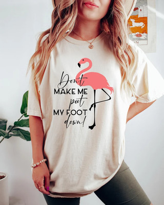 Funny Flamingo T-shirt, Don't Make Me Put My Foot Down Flamingo Shirt