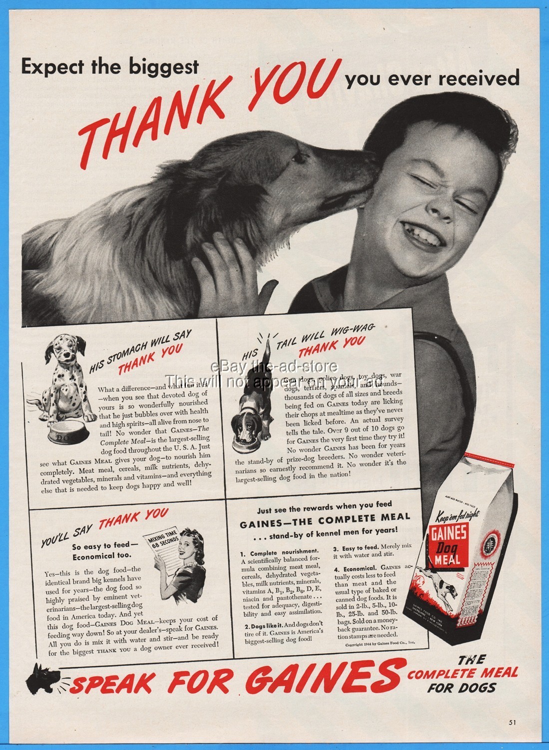 Sherburne Ny Collie Biggest Thank You Dalmatian Puppy Ad