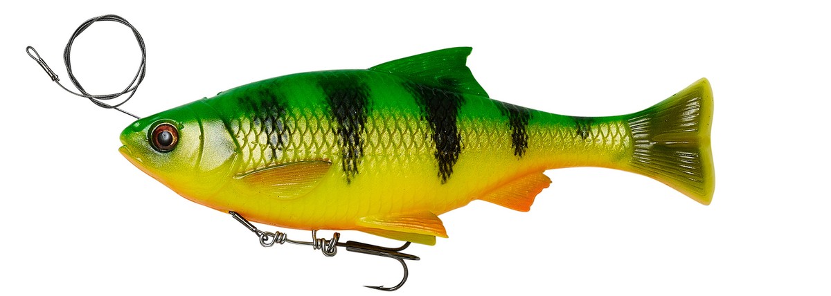 Savage Gear 4D Line Thru Pulse Tail Roach Lures - Pike Zander Catfish  Fishing | eBay