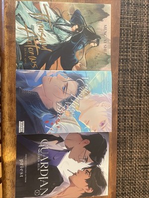 Danmei/ BL Books