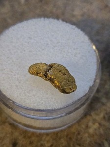 Beautiful Alaska Gold specimen