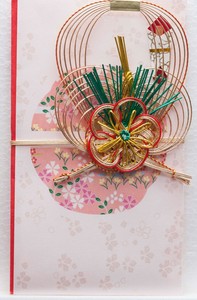 mizuhiki noshi