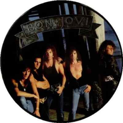 PICTURE DISC Bon Jovi New Jersey PICTURE DISC Mercury | eBay