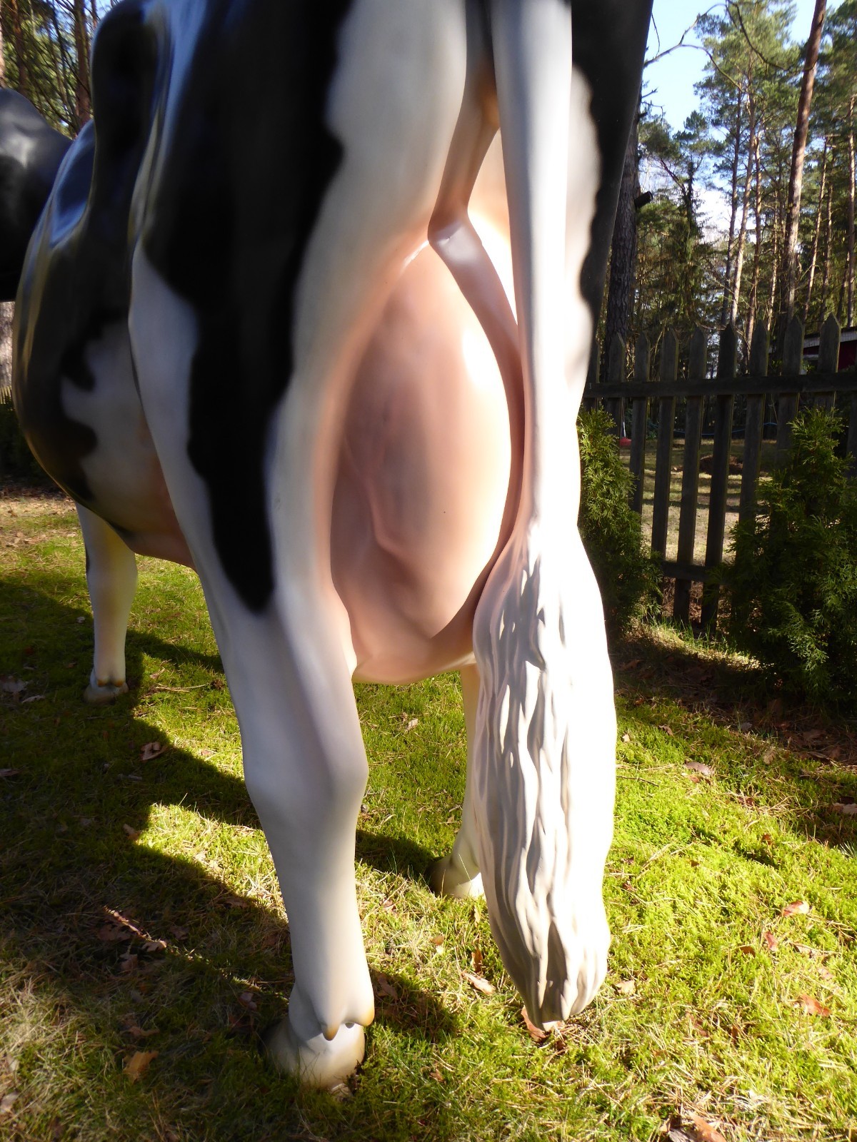 Bild 3 von 24