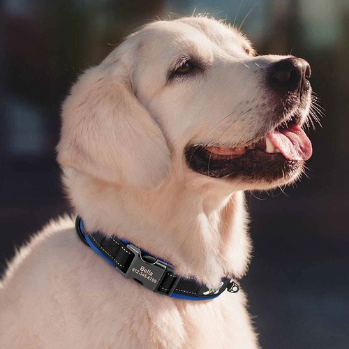 Nylon Personalised Dog Collar Custom Name Phone Number Adjustable Pet Collars - Picture 30 of 84