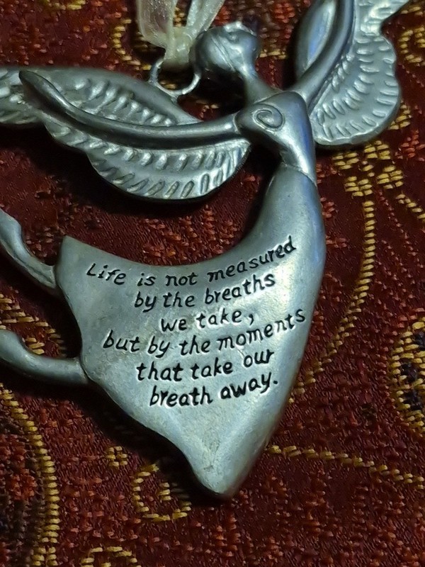Serenity Angel"LIFE IS NOT MEASURED  BY THE BREATHS WE TAKE...MOMENTS  THAT TAKE