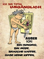 Holzschild 40X30 Cm Bin Total UmgäNglich AußEr Deko Geschenk Holz Schild