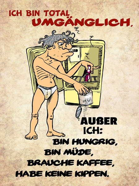 Holzschild 40X30 Cm Bin Total UmgäNglich AußEr Deko Geschenk Holz Schild-image