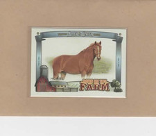 2020 Topps Allen & Ginter - Horse #DF-H Down on the Farm