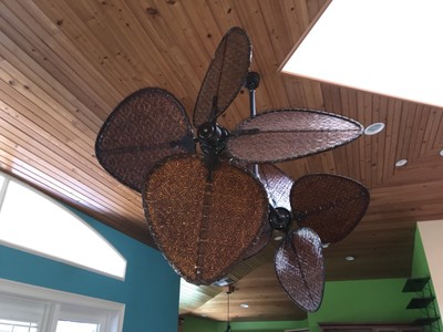 Fanimation Palisade Fp240 Double Paddle Ceiling Fan W Light