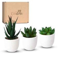 Künstliche Pflanzen Kunstpflanzen Mini Set Dekoration im Topf Wohnzimmer Deko