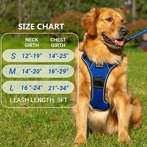 Dog Harness for Medium Large Dogs No Pull S (neck: 12"-19" chest: 14"-25") Blue