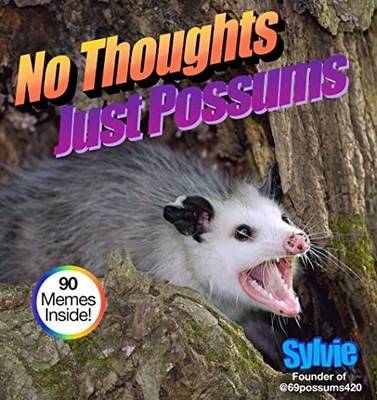 No Thoughts Just Possums : 90 Hilarious Memes