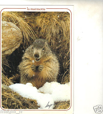 Fantaisie - La Marmotte (H2029) Postkarte 1 Stück TB