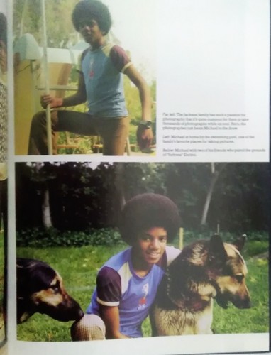 Michael Jackson by Robin Katz 1984 Hardcover - Bild 7 von 10