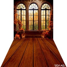 10'x20'CP Window View Candles Scenic Microfiber Fabric background backdrop SD142