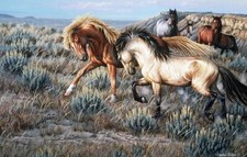 Ceramic Backsplash Tile Mural Horse Kitchen/Bathroom - Two Mustang Stallions