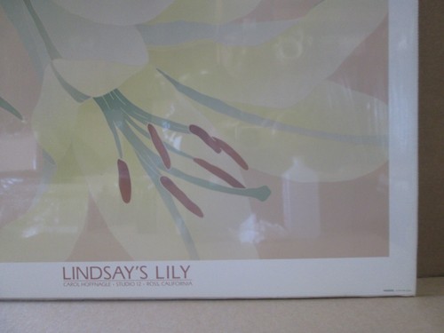 CAROL HOFFNAGLE 1986 VINTAGE POSTER LINSAY'S LILLY CNG3135 - Picture 5 of 5