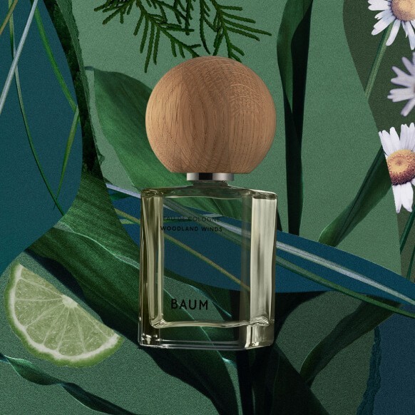 SHISEIDO BAUM Fragrance WOODLAND WINDS 60mL JAPAN Fedex | eBay