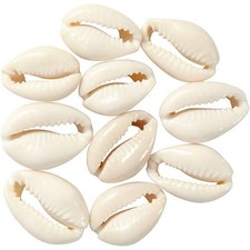 Muschelperlen