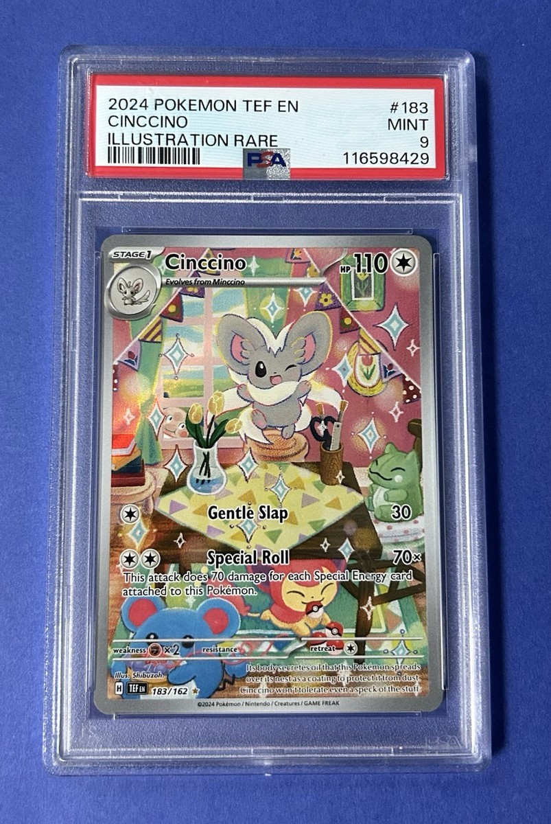 2024 Pokémon TEF EN Cinccino Illustration Rare #183 PSA 9 MINT | eBay