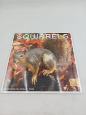 Squirrels 2026 Wall Calendar, 12'' X 12'', 18-Month Willow Creek Press,