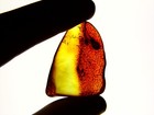 Foto 6 di 7
