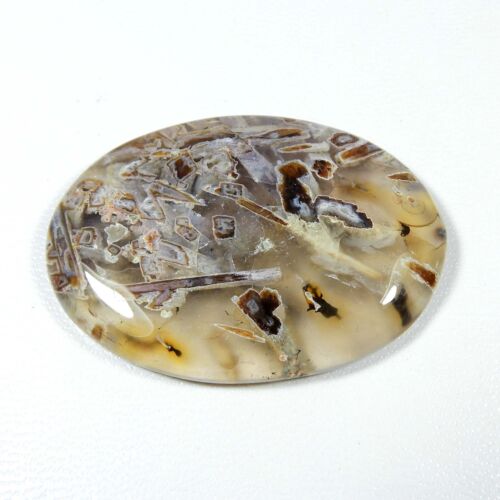 Pseudomorph Stick Agate Cabochon Oval Shape Natural Gemstone Loose 64 Cts #8131 - Picture 2 of 8